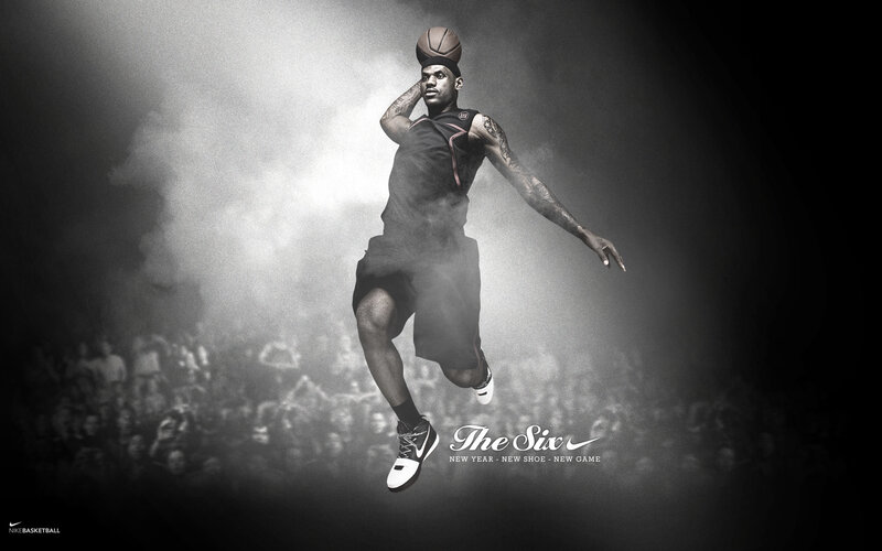 LeBron James basketball action