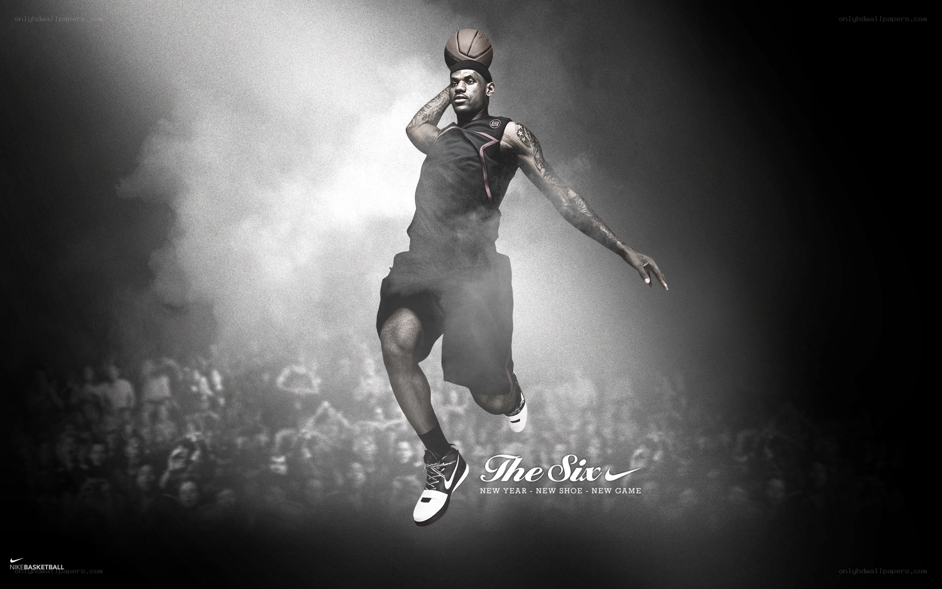 LeBron James basketball action