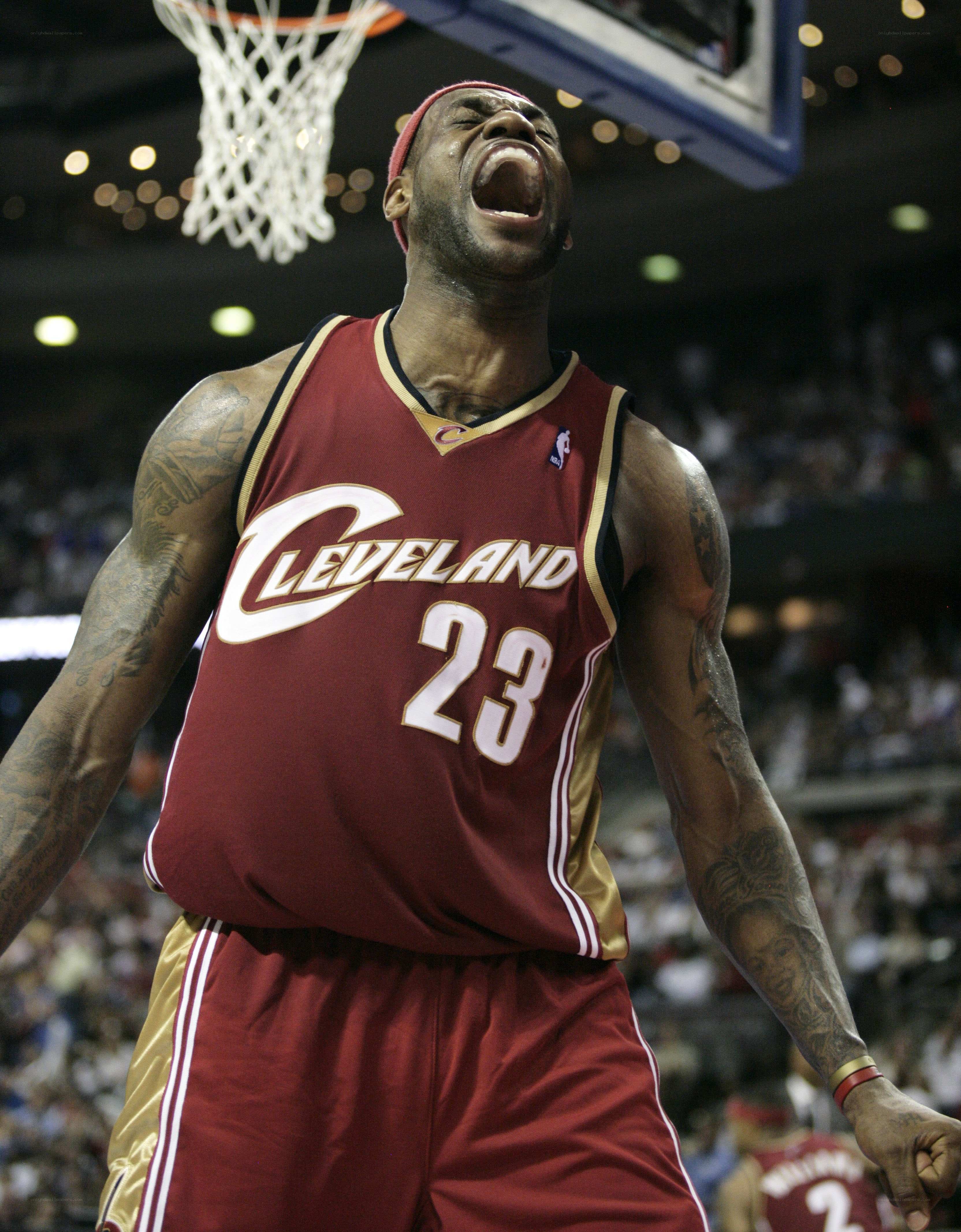 LeBron James celebrates