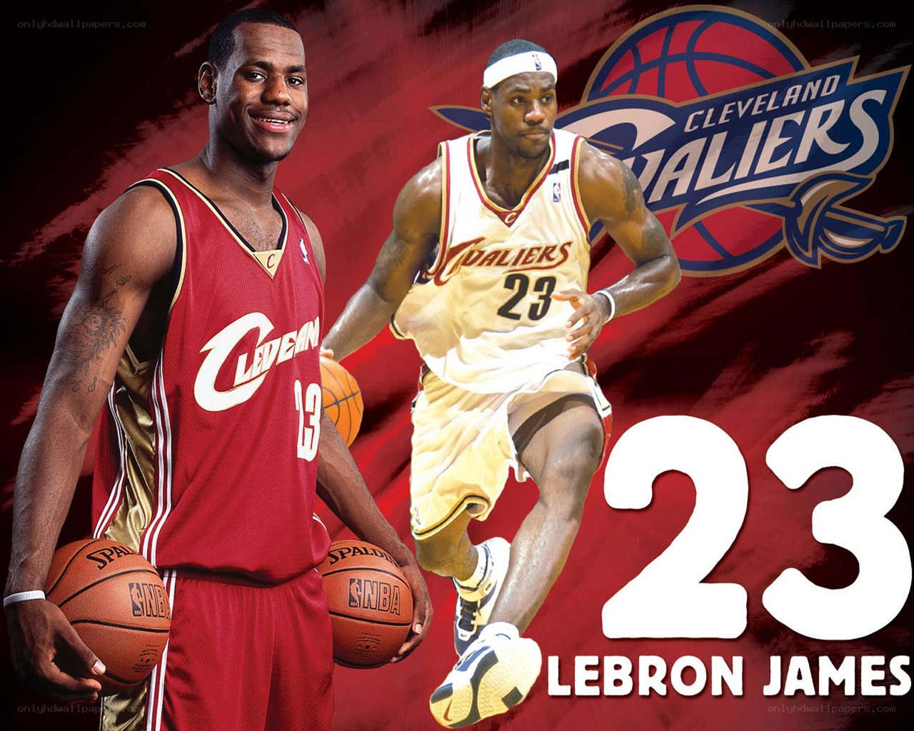 LeBron James Cleveland Cavaliers