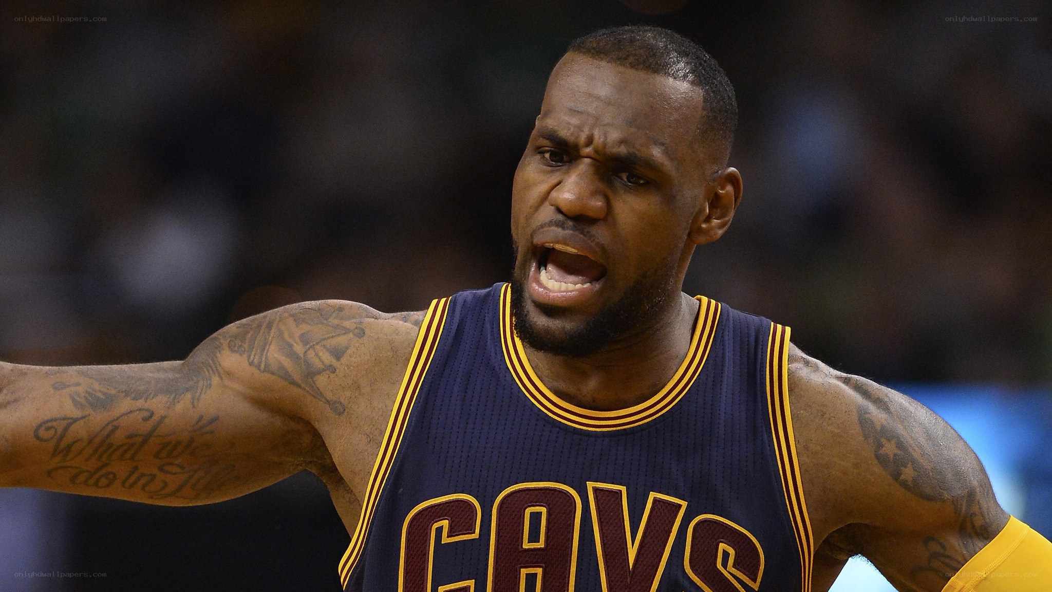 LeBron James during a game
