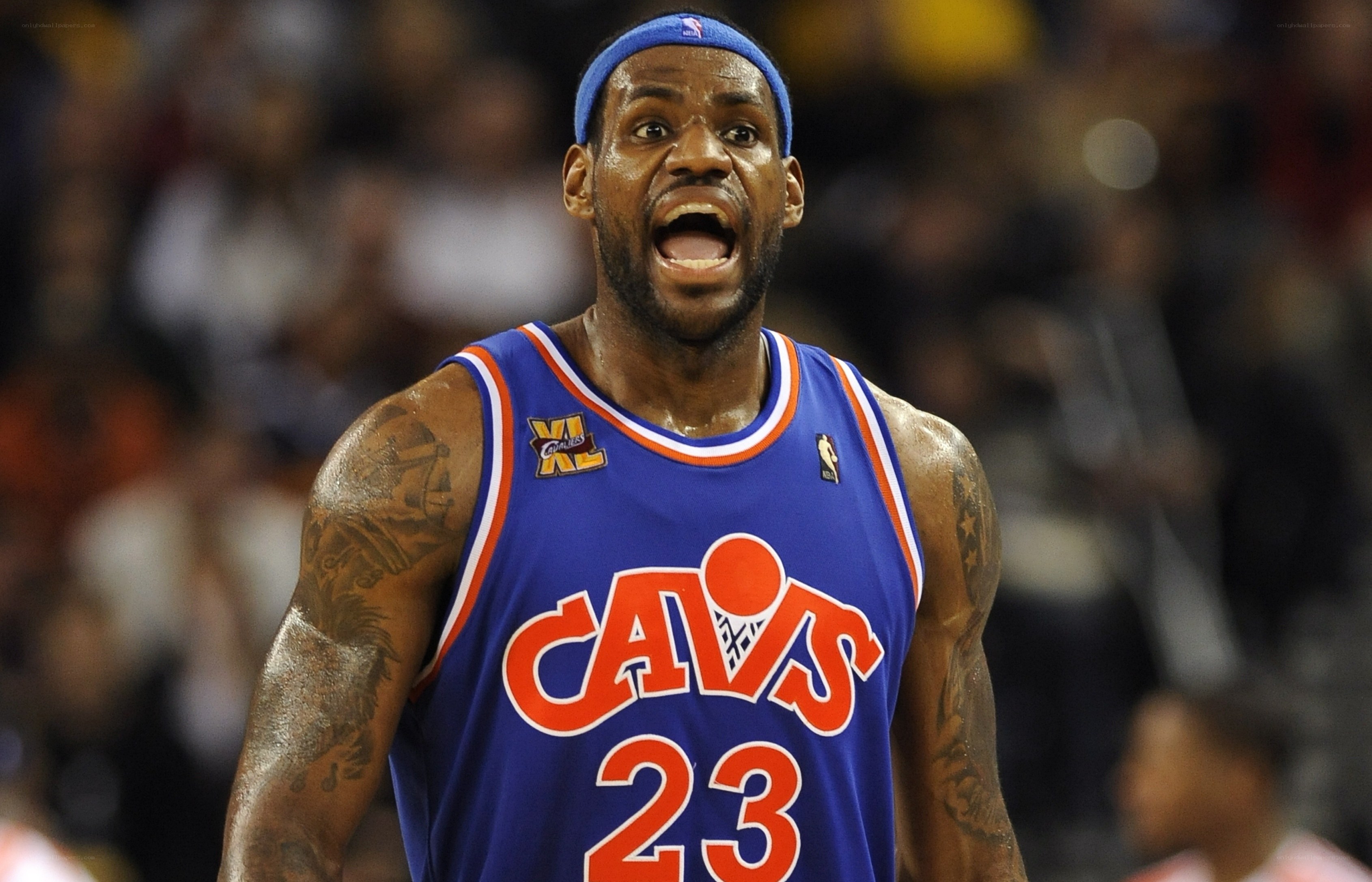 LeBron James during a game