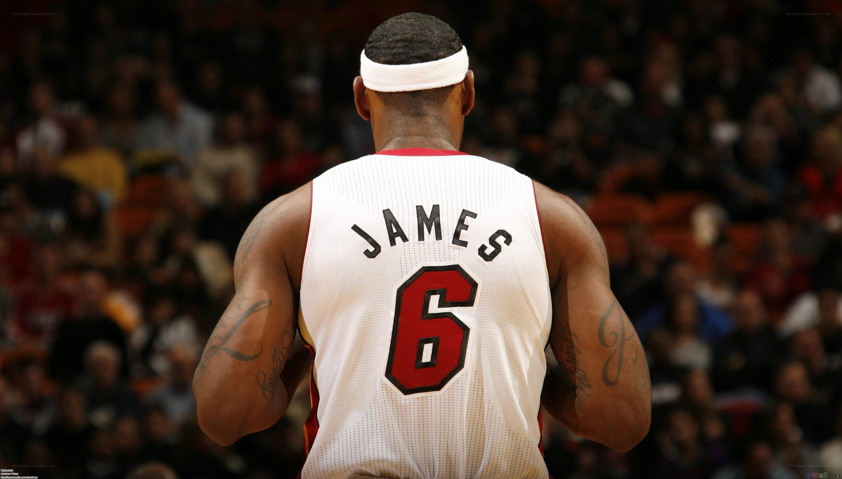 LeBron James on court