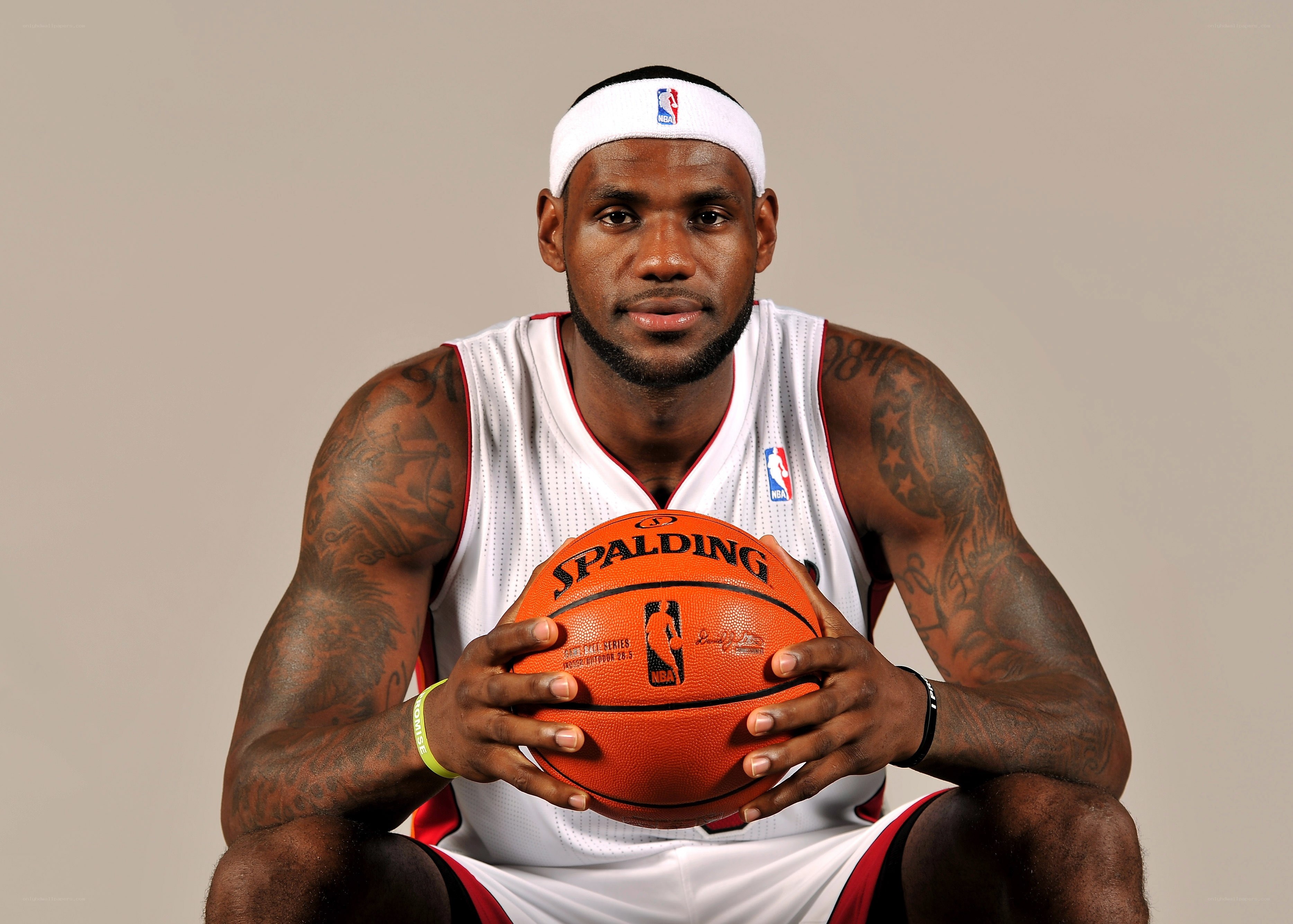 LeBron James with basketball