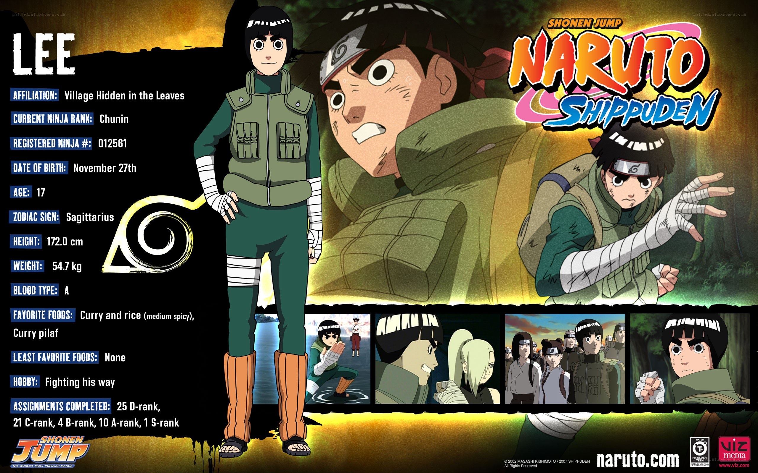 Lee character profile from Naruto