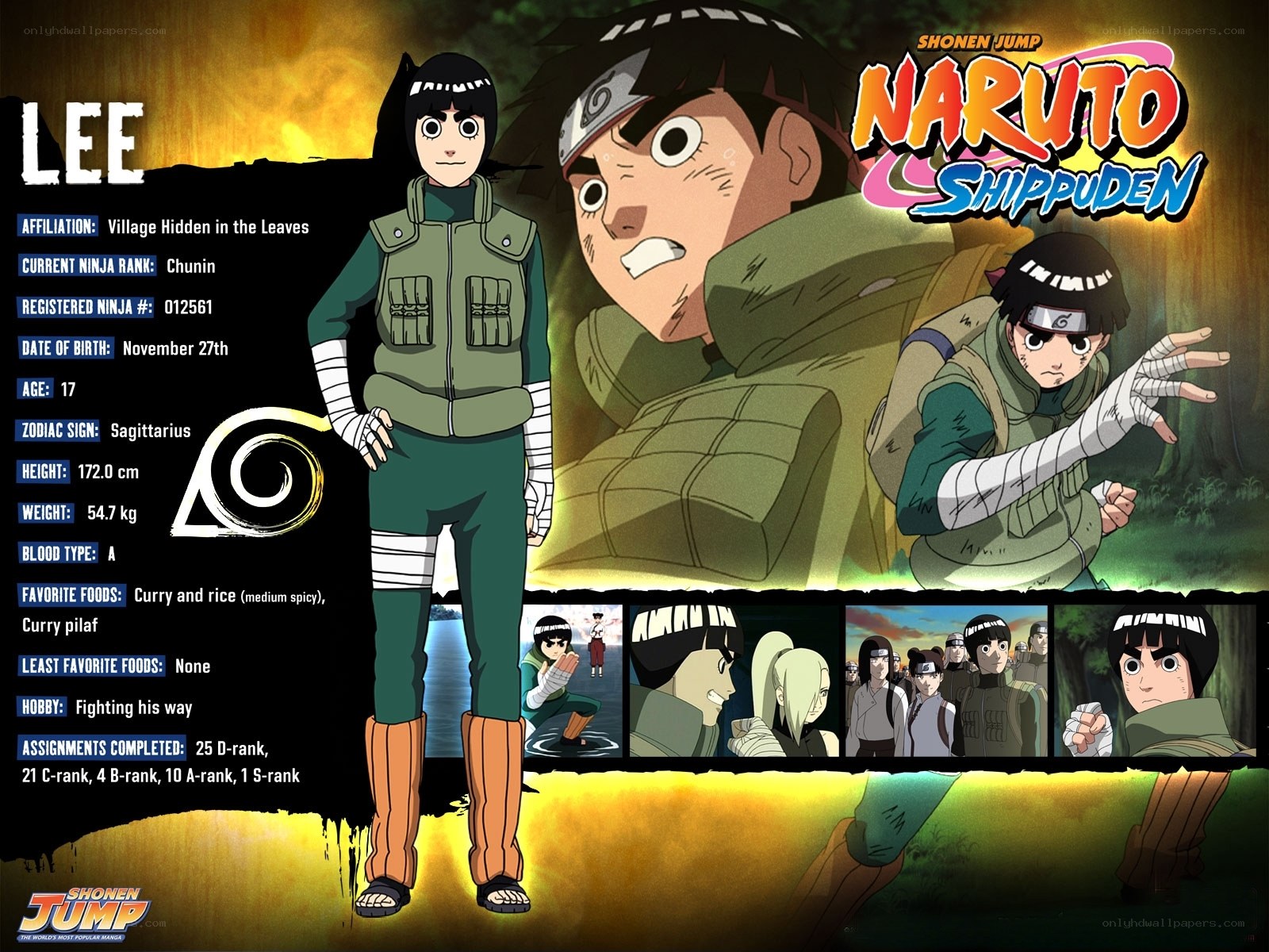 Lee character profile from Naruto