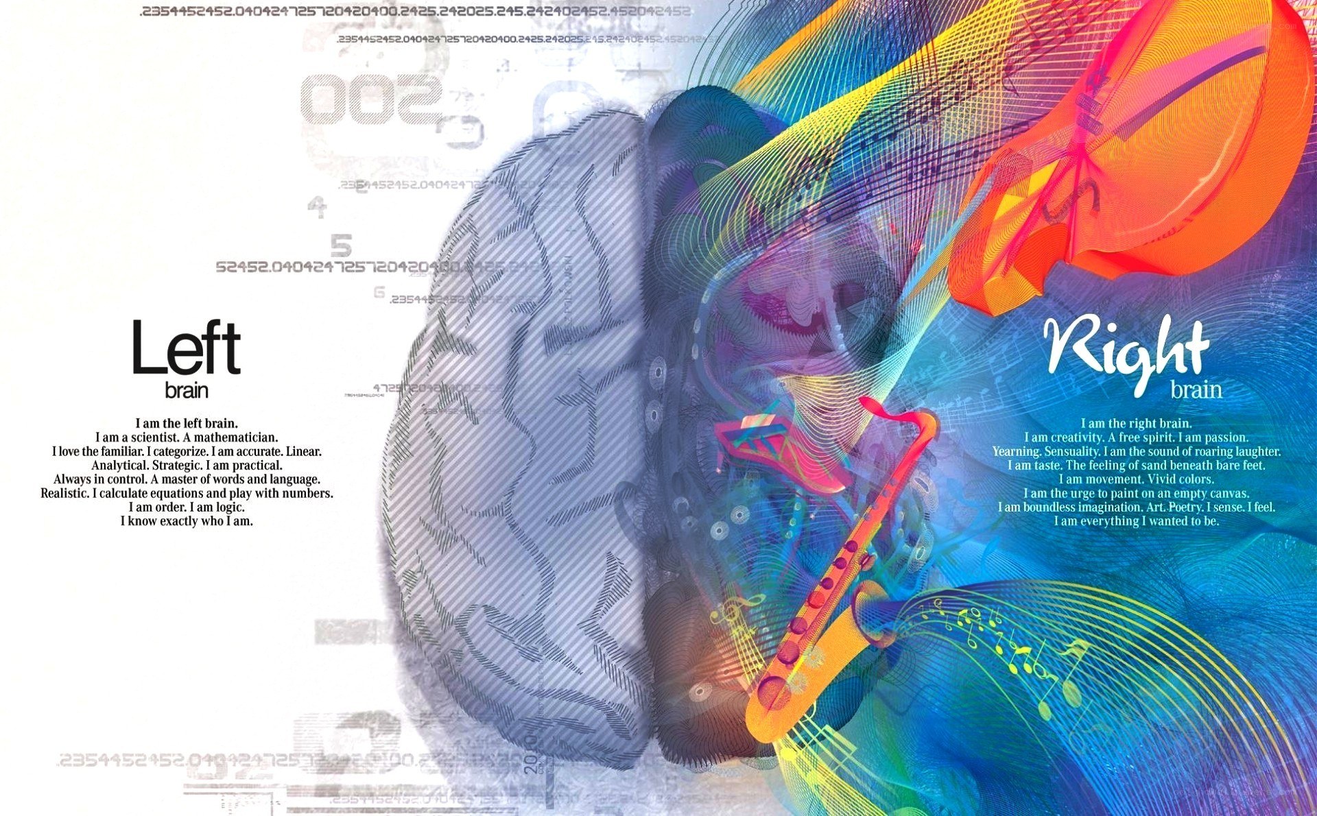Left and right brain comparison