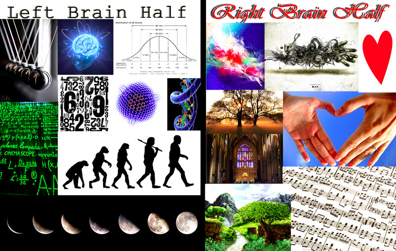 Left and Right Brain Comparison — Black