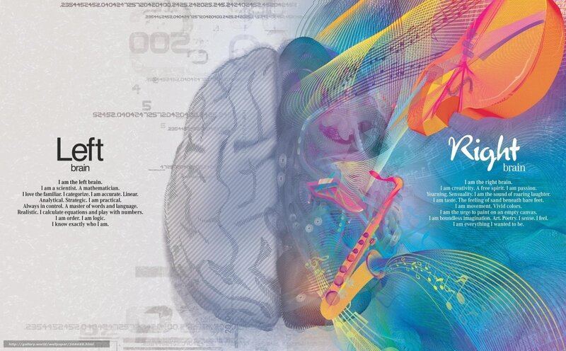 Left and right brain comparison