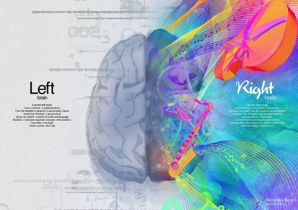 Left and right brain illustration