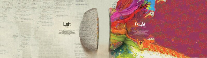 Left and Right Brain Illustration — White