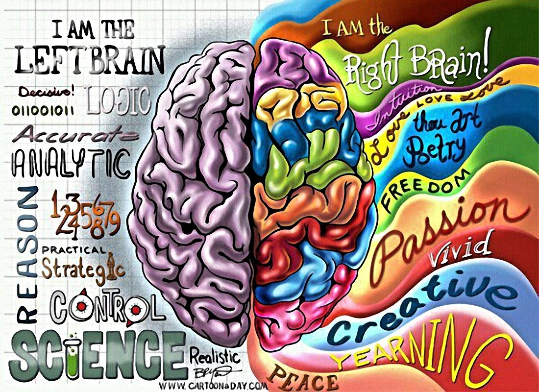 Left and Right Brain Traits