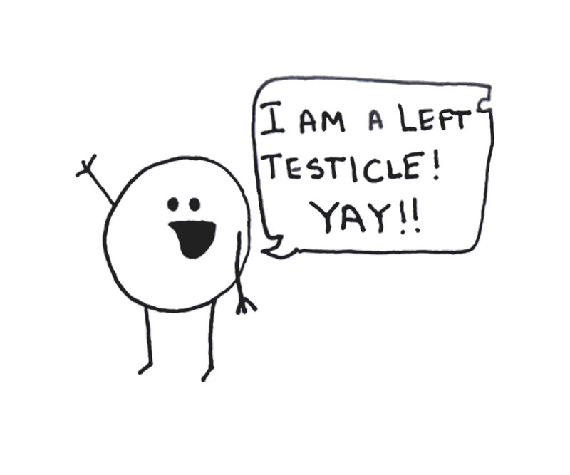 left testicle character