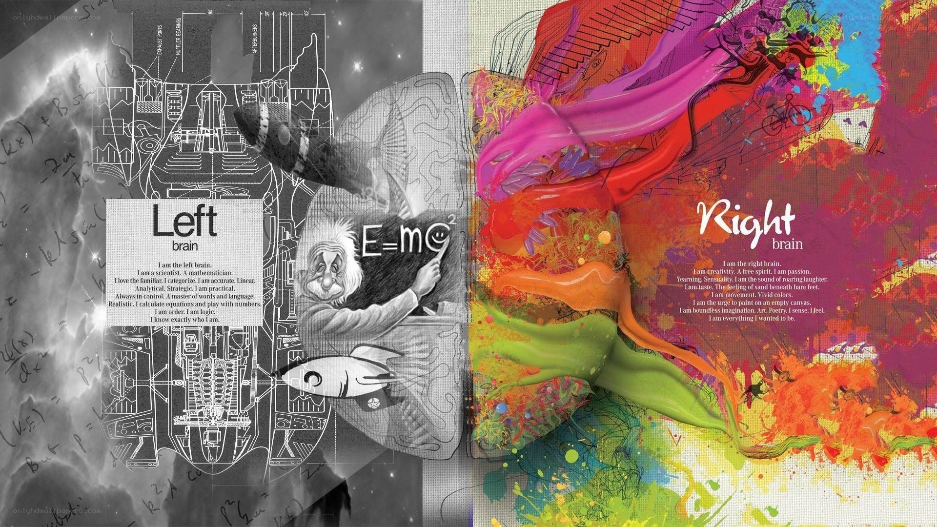 Left vs Right Brain