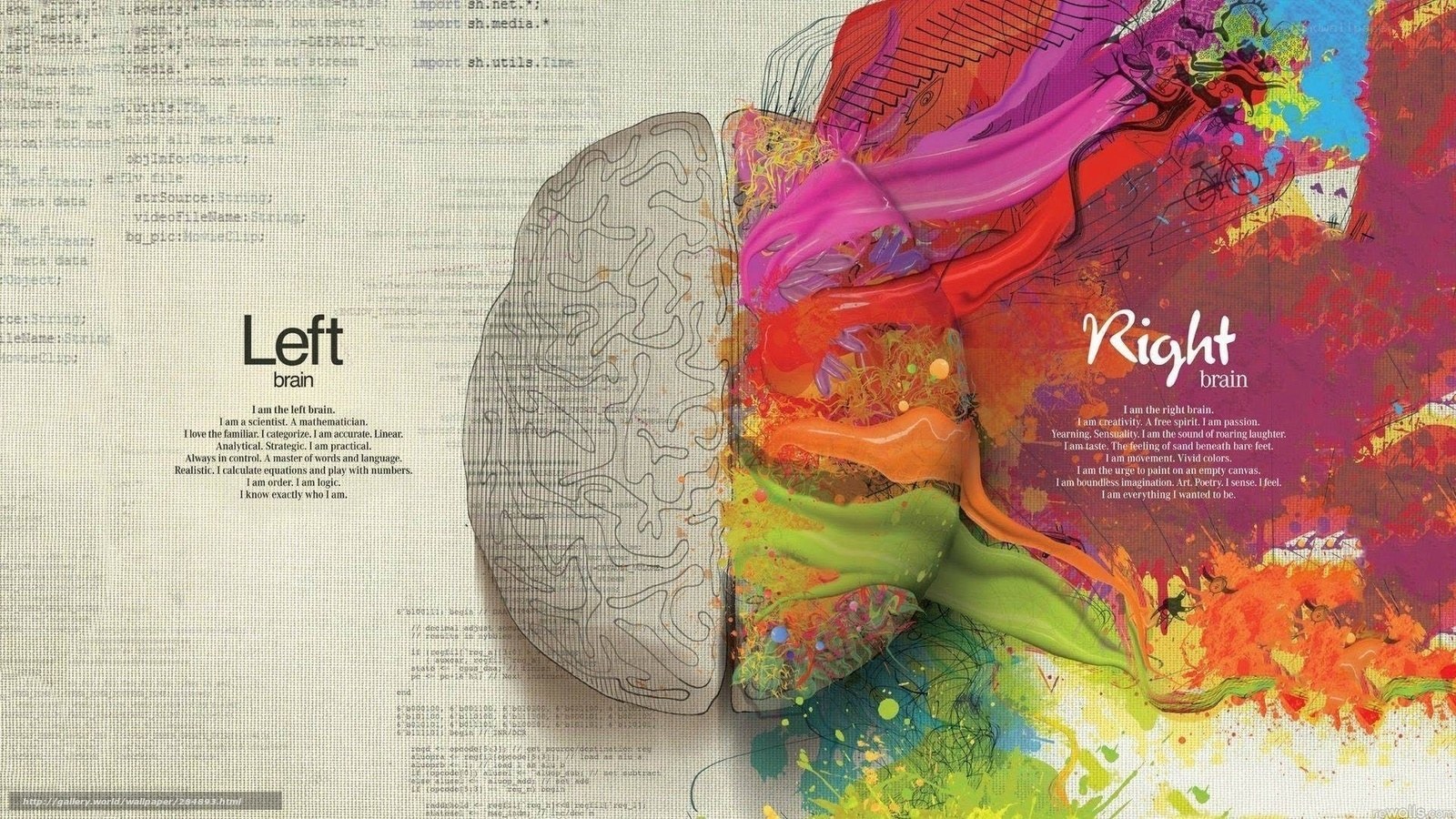 Left vs Right Brain