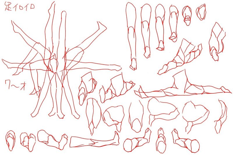 leg anatomy reference sketches