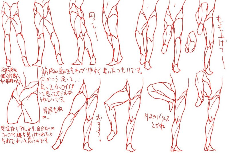 Leg anatomy reference sketches