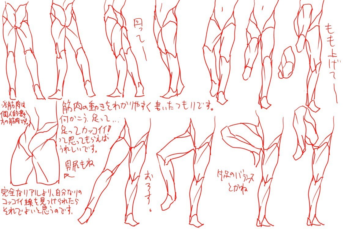 Leg anatomy reference sketches
