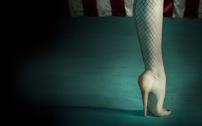 Leg in Fishnet Stocking