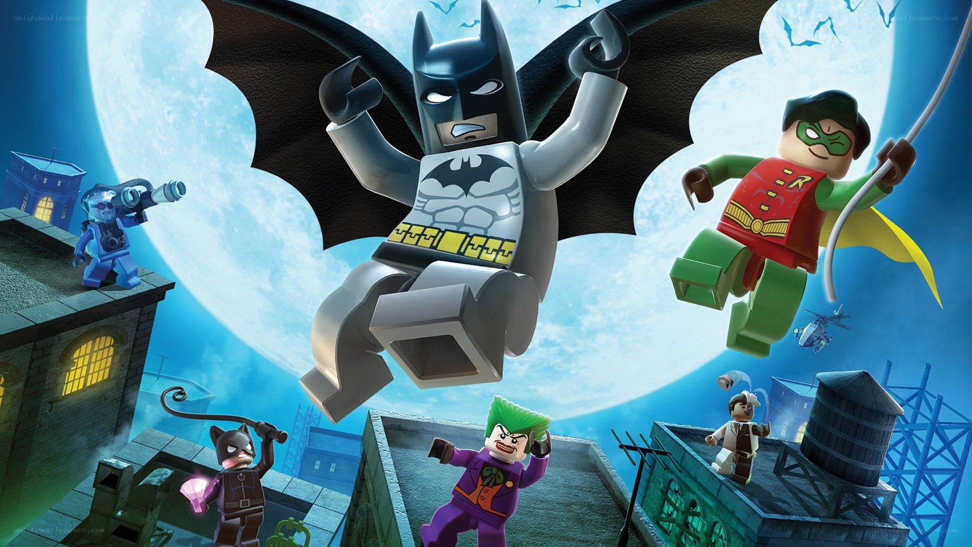 Lego Batman and Robin in action