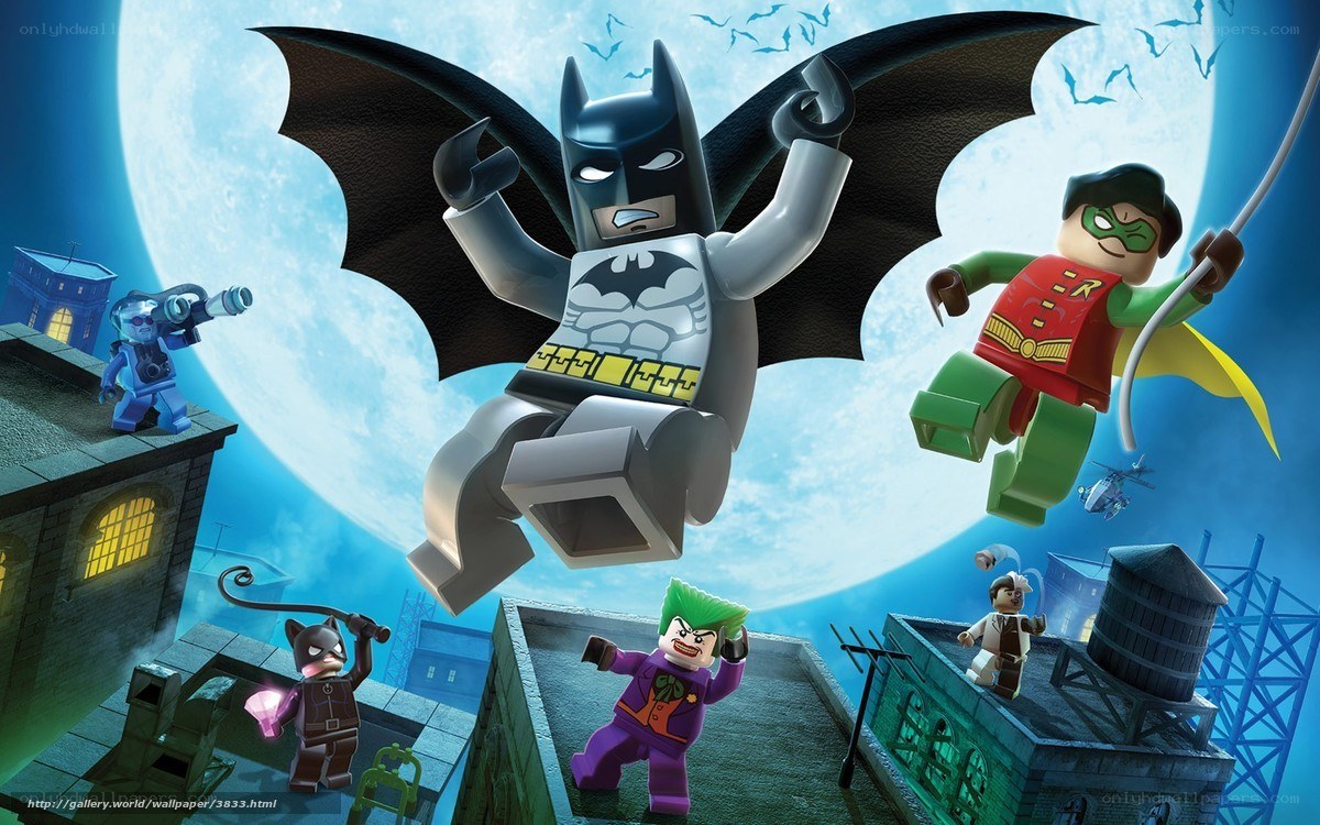 Lego Batman and Robin in action