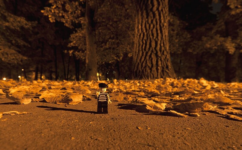Lego figure in autumn park