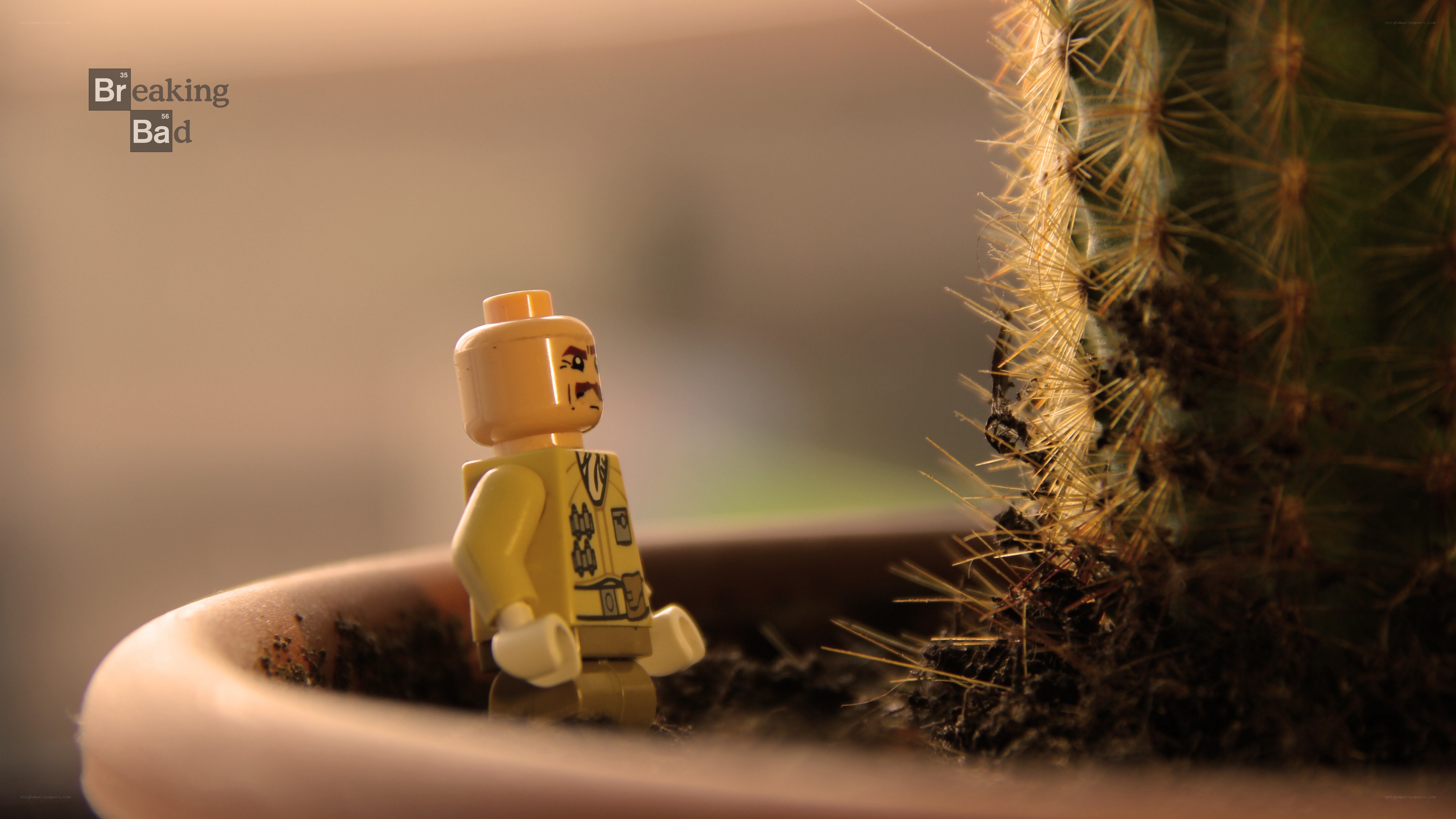 Lego figure near cactus