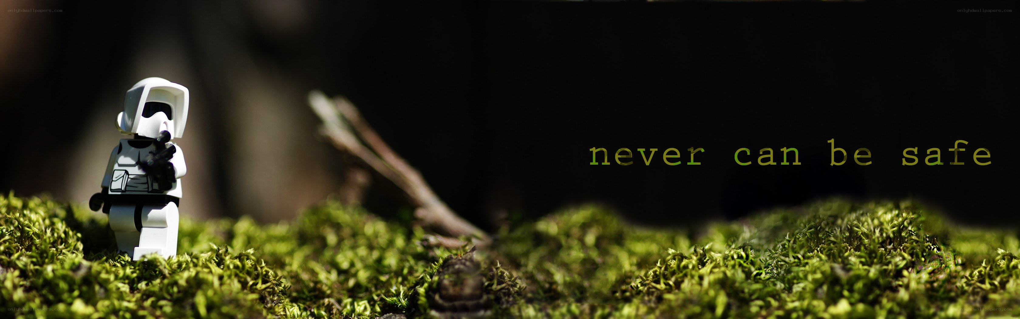 Lego figure on moss with text