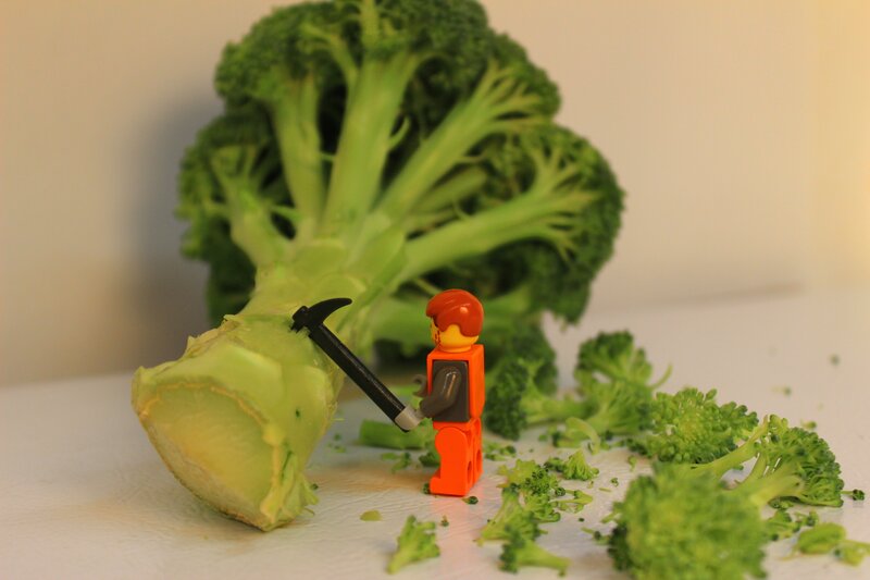 Lego Figure with Broccoli