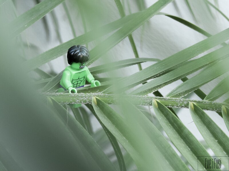 Lego Hulk on Plant