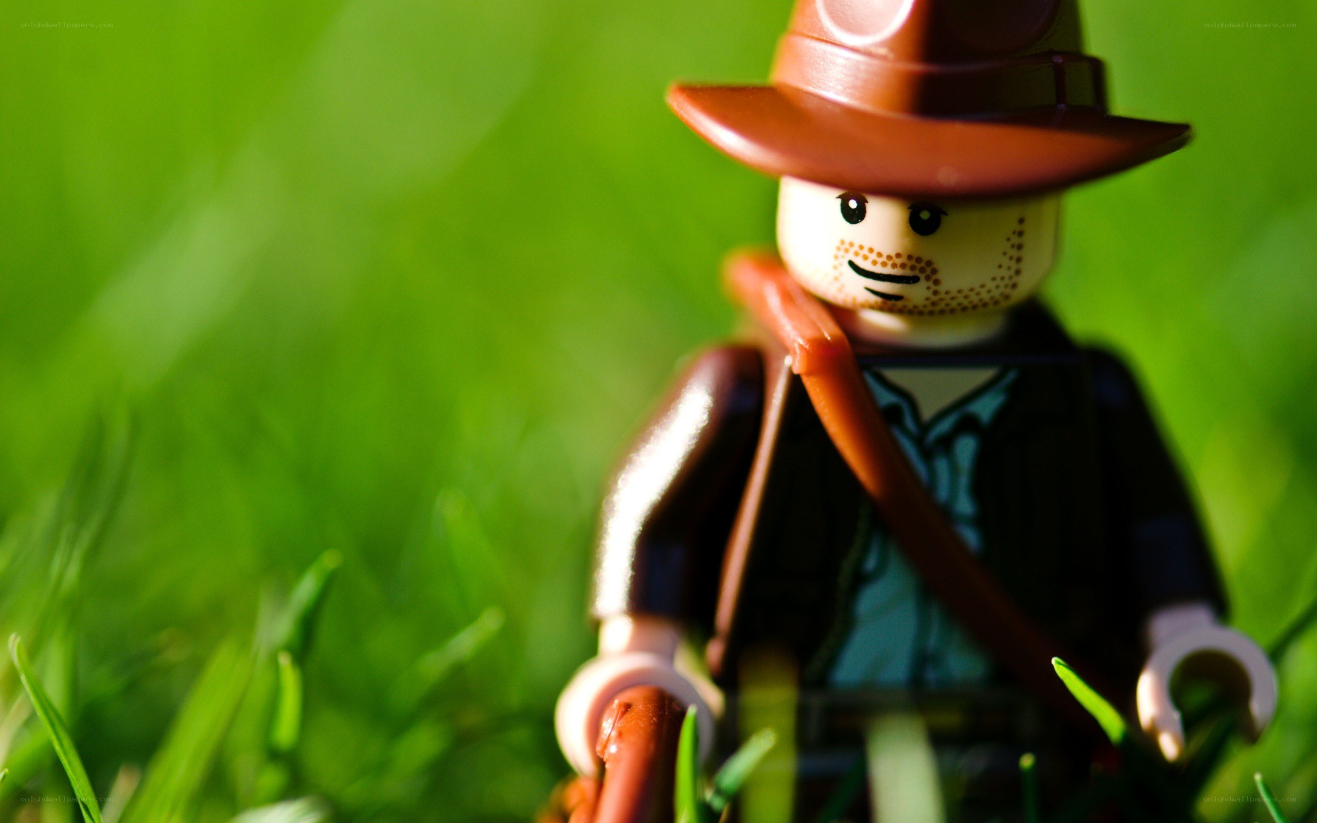 Lego Indiana Jones in grass