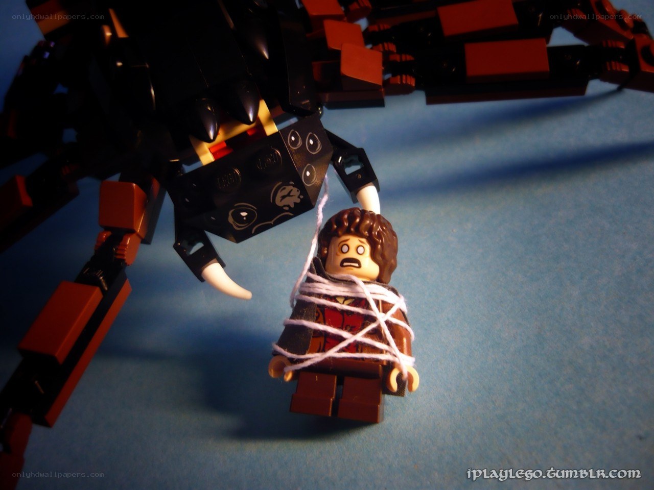 Lego minifigure captured by spider