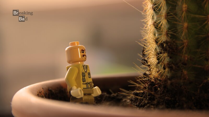 Lego Minifigure in Pot