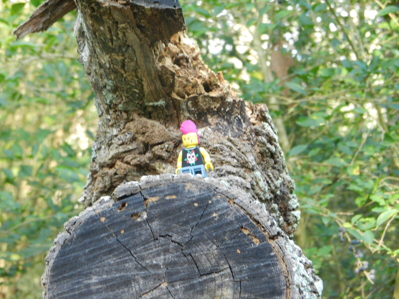 Lego Minifigure on Tree Stump