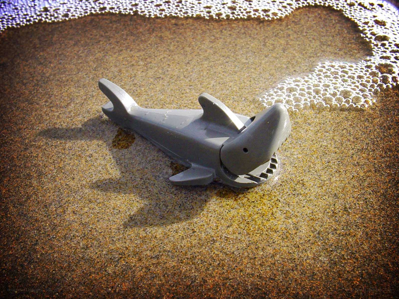 Lego shark on beach