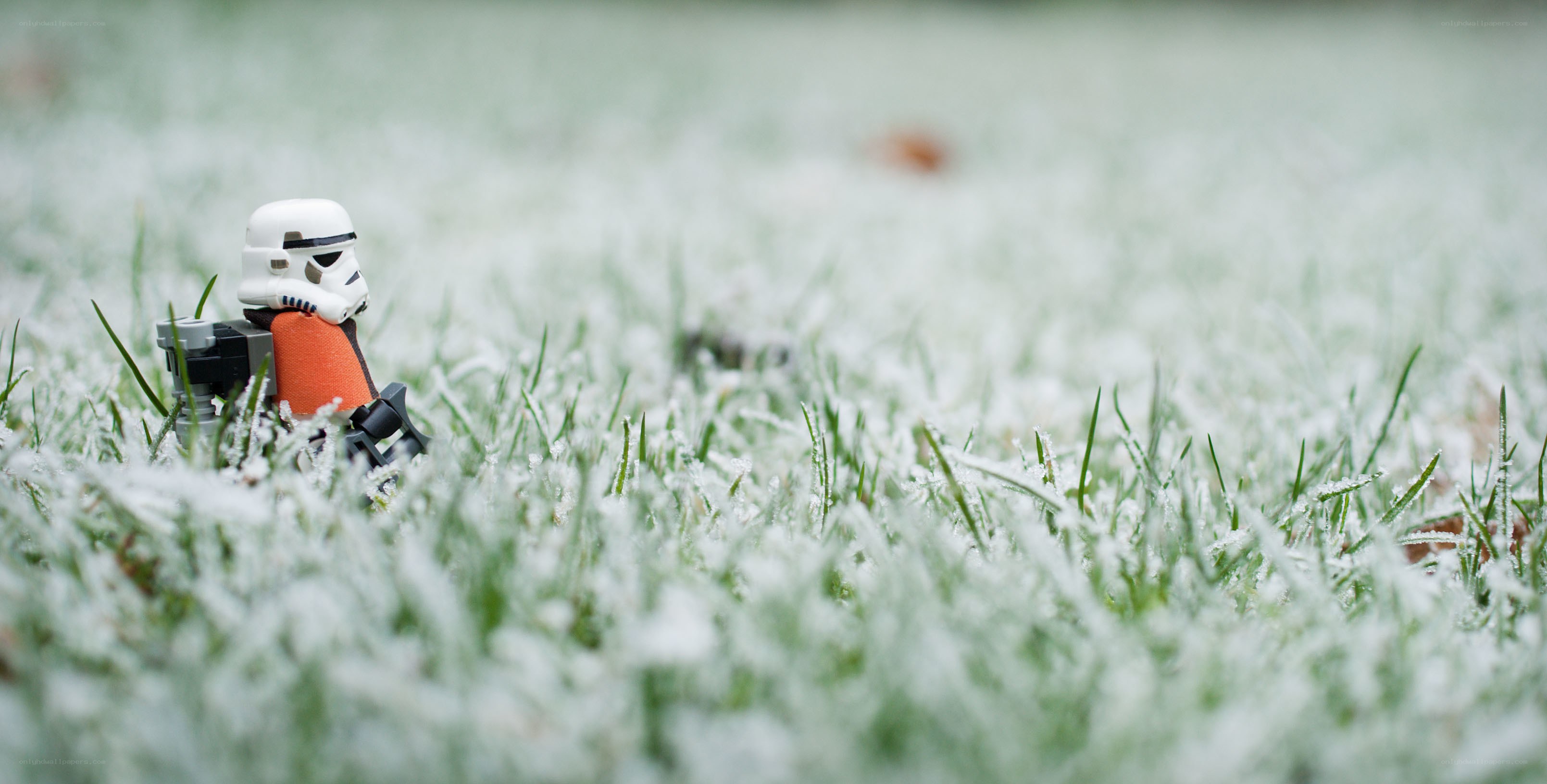 Lego stormtrooper in frost