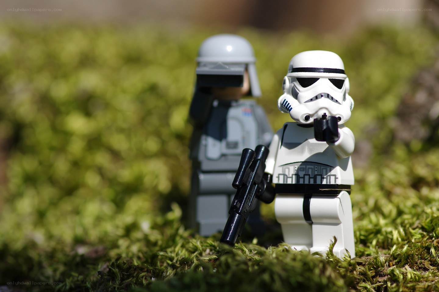 Lego stormtroopers in moss