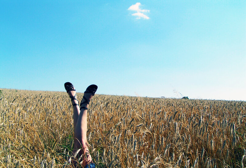 Legs in a wheat field