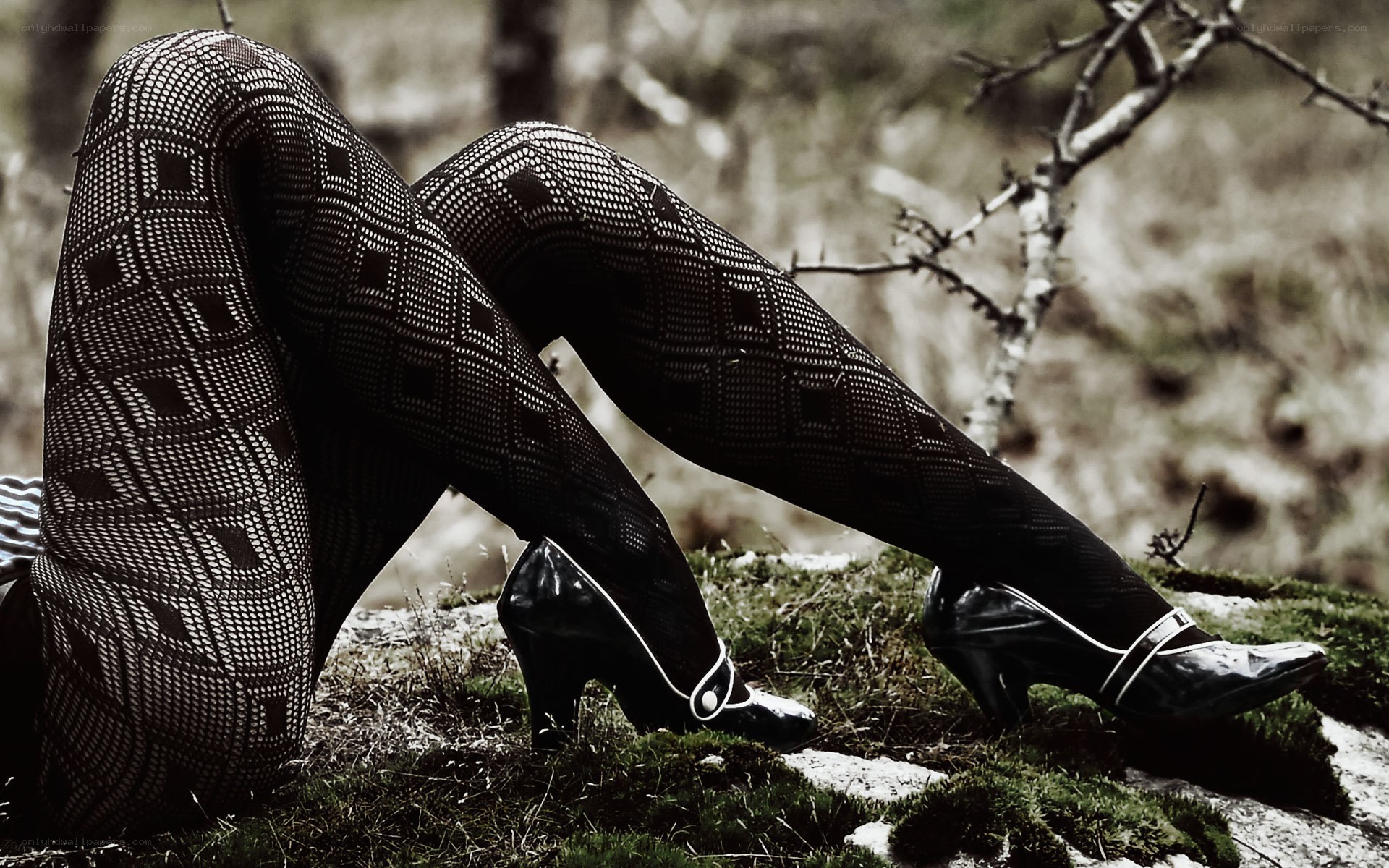 Legs in patterned tights
