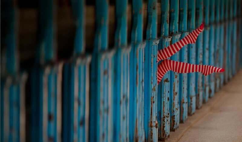 Legs in striped socks behind fence