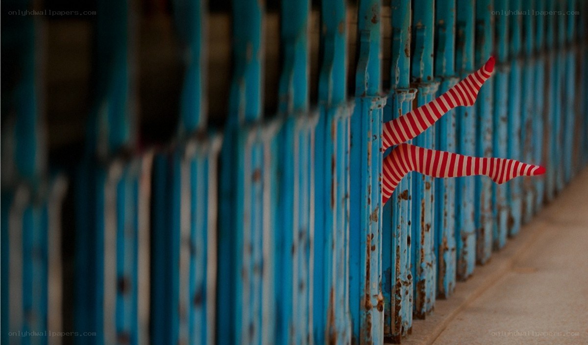 Legs in striped socks behind fence
