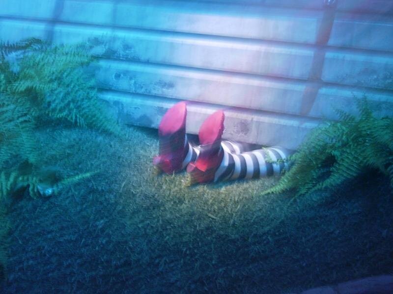 Legs in Striped Socks — Green