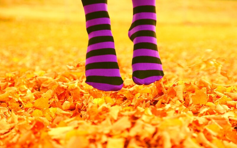 Legs in Striped Socks — Purple, Playful
