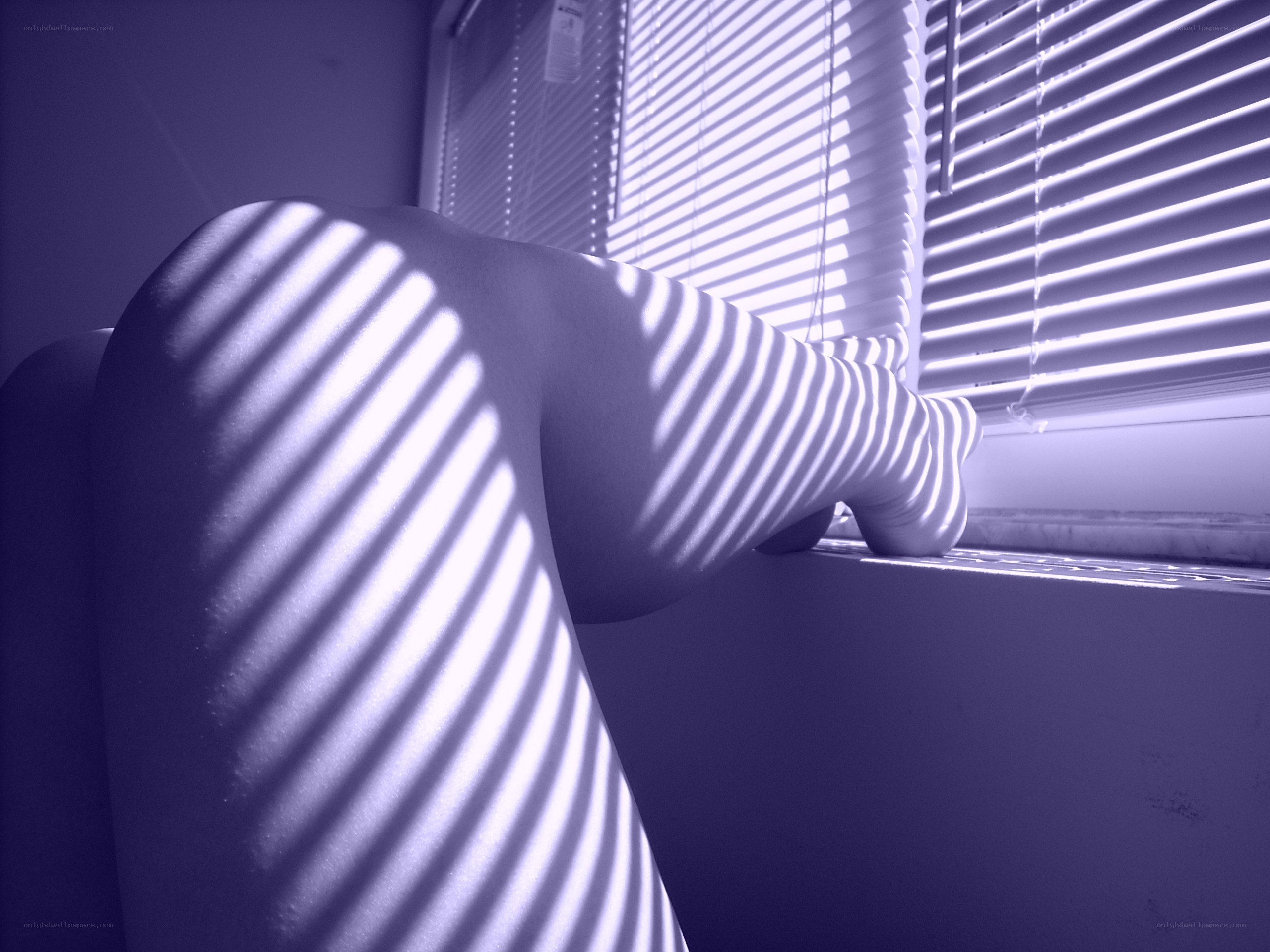 Legs in window light