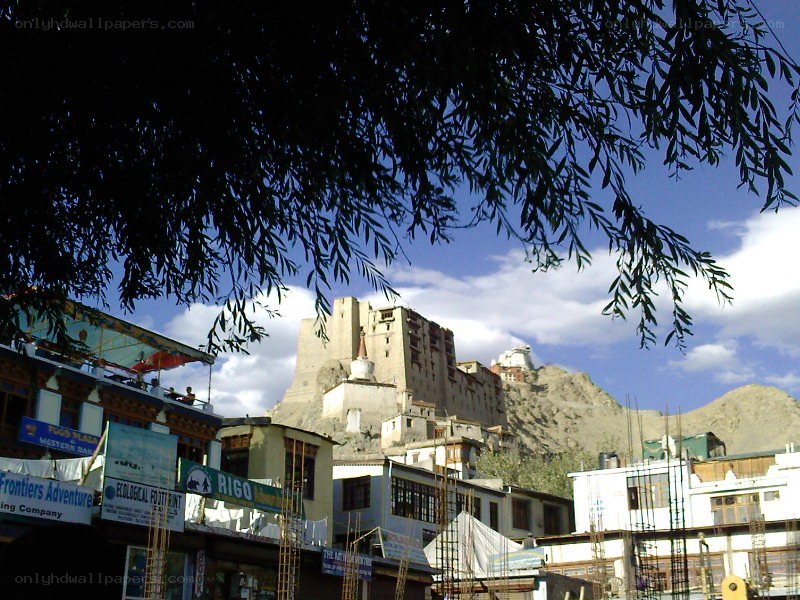 Leh Palace view from town