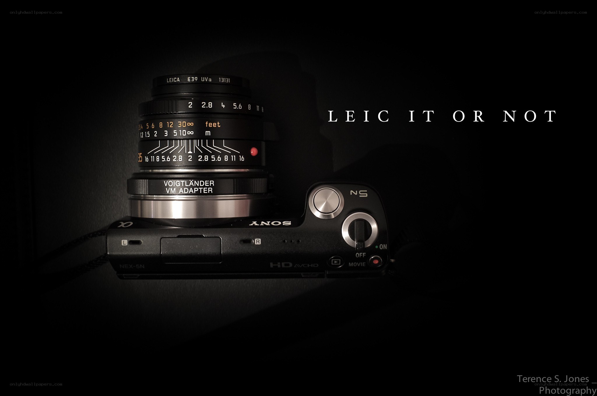 Leica lens on Sony camera