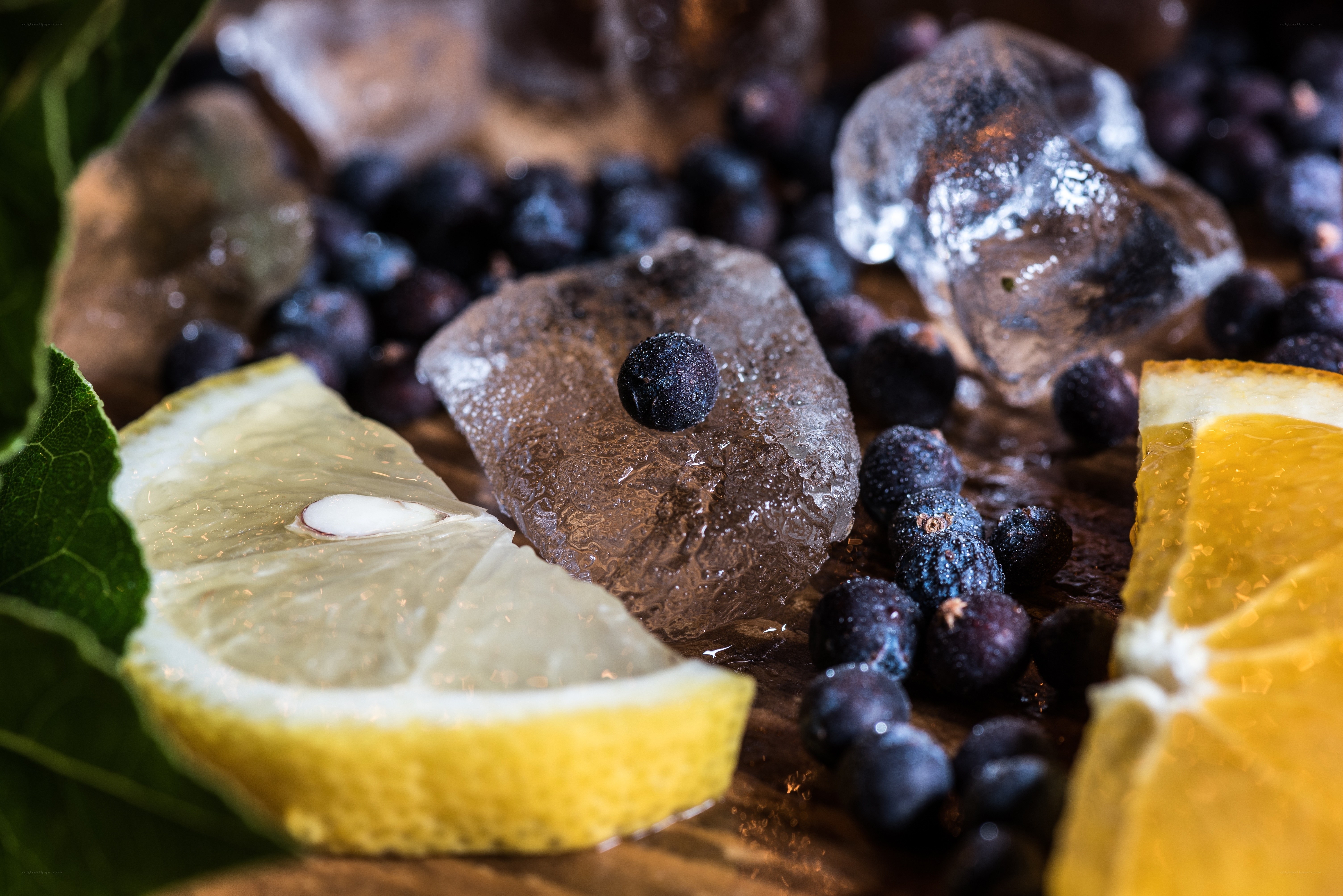 lemon and blueberry garnish
