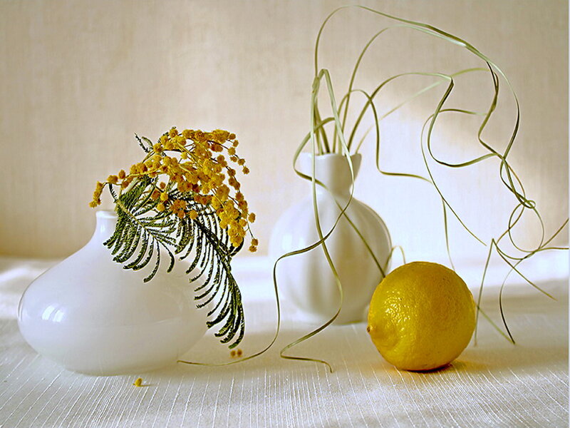 Lemon and Flowers in Vases — White