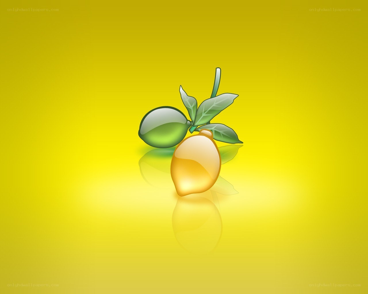 lemon and lime illustration