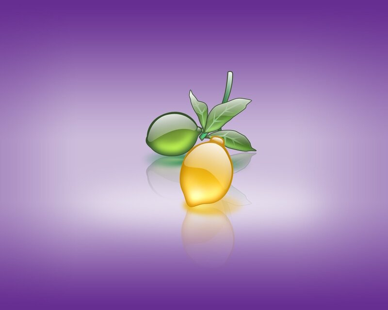 lemon and lime illustration